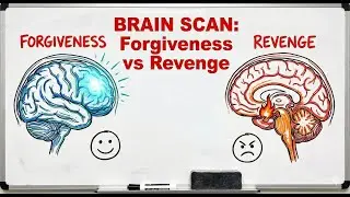 The Psychology of Revenge: Why Your Brain Loves It