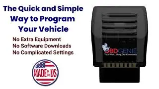 Ram Power Folding Mirrors Programmer - Ad
