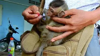 Broken News!!! Pity Blind Baby VIGO Rescue, Blind Baby Vigo Looks Really Hungry | Blind VIGO
