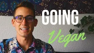 GOING VEGAN (Is it Worth It?)