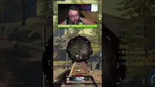 Vehicle Mayhem!