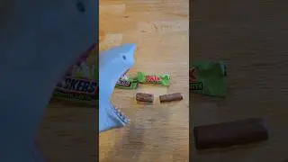 Hungry Hand eats Ghoulish Green Twix and Snickers Chocolate! #asmreating #funny #twix #snickers