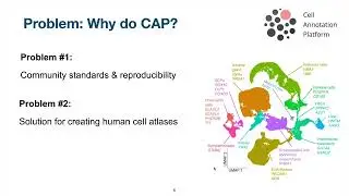 Conceptual Walkthrough for CAP (Cell Annotation Platform)