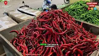 Tomat STABIL MAHAL bawang daun sama seledri  untuk cabe stabil#kangsayur #tomatoes  #cabe #sayuran 