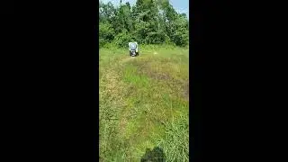 scoring Barebow 50m S2R4