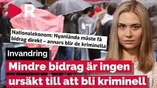 Forskare larmar: Invandrare blir kriminella om de inte f&aring;r bidrag