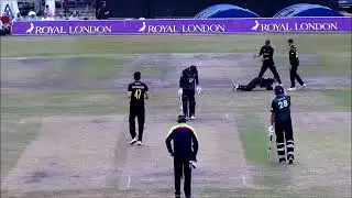 WSX Cricket - Paul van Meekeren
