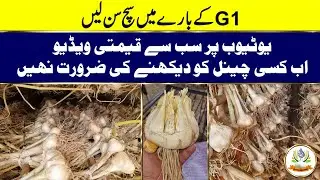 Thanks for telling truth about NARC G1 #g1 #narcg1 #garlic #pakistan #narc #booking