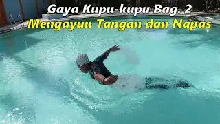 2020 - Renang Gaya Kupu-kupu untuk Pemula - Bagian 2 (tangan dan napas)