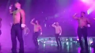 Chippendales 2019 Copenhagen Falkoner Salen