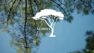 Aldeia do Pinhal - New Build villas in Salir do Porto Portugal #presprop