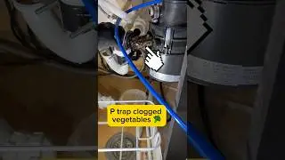 P Trap Clogged