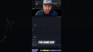 Crypto Diamond Hands: Survive the Dip & Moon!