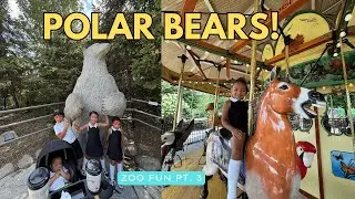 Detroit Zoo Family Adventure | Polar Bear, Carousel Fun & Reptile House (Family Travel Vlog Pt. 3)