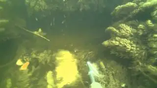 Секреты Днепра