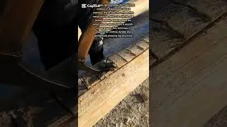 Traditional Log Shaping with Axe and Saw