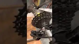 2006(?) Mavic ksyrium SL ssc (upgraded pawls) hub sound