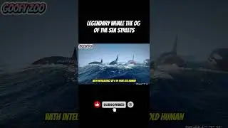 Legendary Whale The OG of the Sea Streets | Goofy Zoo
