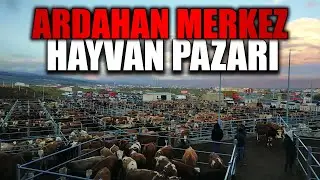 ARDAHAN CANLI HAYVAN PAZARI ! | GÖRDÜĞÜM EN BÜYÜK PAZAR !!!