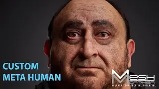 Custom Meta - Human (using Mesh Morpher )