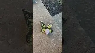 Undeniable Transformation🦋🦋🦋😇😇😇