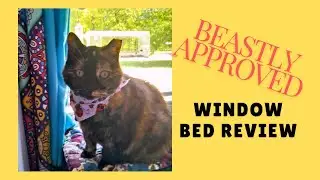Kitty Window Bed Review! 🐱  #petproducts #review