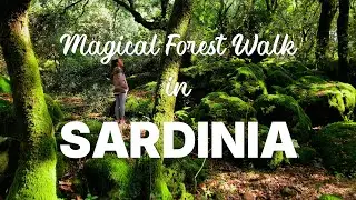 Magical Forest Walk in Sardinia | Mindful 4K Relaxation & Deer Encounter