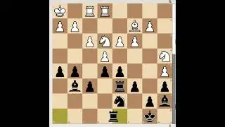 These Rooks Are Splitting the Center Positionally -with Akiba Rubinstein