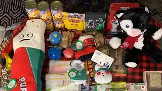 Donating to a dog shelter