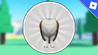 How to get the HEADLESS MEOWL BADGE in FIND THE MEOWLS | Roblox