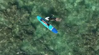 Learn to Surf with Seth Elmer