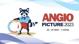 Angiopicture Синий зал 27 мая 2023 г.