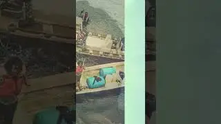 JAMAICA DRUGS TRAFFICK