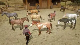 John Marston&rsquo;s Most Beautiful Tamed Mustangs | RDR2 Mustang Collection