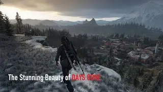 DAYS GONE Scenic spot: Lost Lake Sawmill