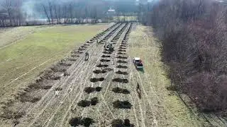 Mbjellja e arrave në Vlashnje - 04 shkurt 2024