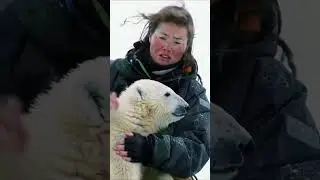 Rescue Amid the Ice A Bond Forged in Compassion #polarbear #animals #arcticwildlife  #shorts #story