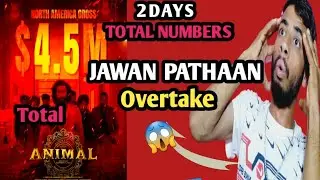 Animal Box office collection|Animal Total Collection|Animal Movie Collection|