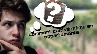 COMMENT CULTIVE MEME EN APPARTEMENTS