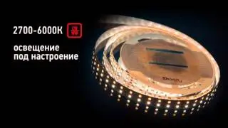 Светодиодная лента Design Led DSG5120 - LedHut.ru