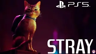 Stray - Official Premiere Teaser Trailer Announcement | Playstation 5 - PS5