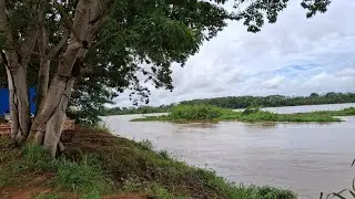 O rio mamore na cheia do inverno. 