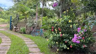 Dia de Limpeza na Roça - Não Acreditei quando Vi