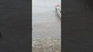 Indus River RIDE! 🤯 Massive Wave Hits Our Boat