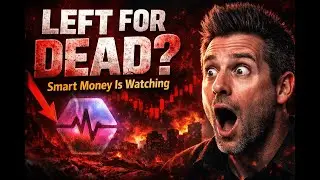 PULSECHAIN Is Being Left for Dead&hellip; This Is When Smart Money Buys