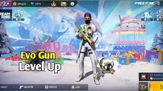Evo Gun Level Up🟢,