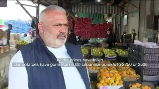 Lebanon&rsquo;s farmers fear of produce going to waste after Saudi ban due to hidden drugs