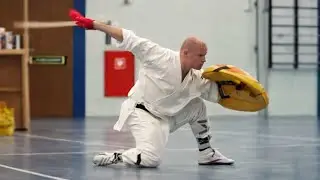 Shaolin Sword and Shield D&ugrave;np&aacute;i Dāo 盾牌刀&nbsp;Zwaard & Schild vorm NK 2016 Martial Arts