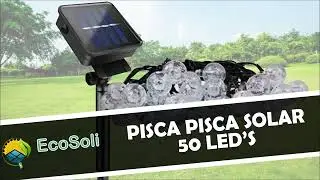 Pisca Pisca 50 Led's - Branco quente - Ecosoli