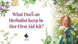 My Herbal First Aid Kit for Travel